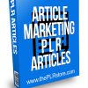 Article Marketing PLR Articles 1