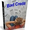 Bad Credit PLR eBook