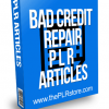 Bad Credit Repair PLR Articles