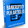 Bankruptcy PLR Articles 2