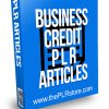 Business Credit PLR Articles