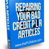 Repairing Your Bad Credit PLR Articles