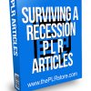 Surviving a Recession PLR Articles