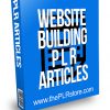 Website Building PLR Articles