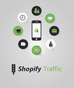 shopify traffic videos