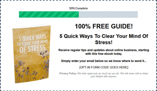 Gain Mental Clarity Ebook with Master Resale Rights