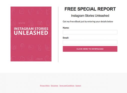 Instagram Stories Unleashed Report MRR