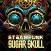 Steampunk Sugar Skulls PLR Coloring Ebook