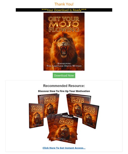 Get Your Mojo Flowing Ebook and Videos MRR