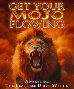 Get Your Mojo Flowing Ebook and Videos MRR