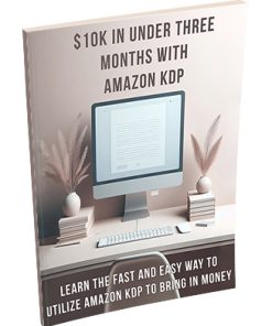 10k in Three Months Amazon KDP PLR Report