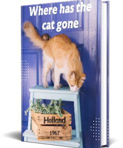 Where Has the Cat Gone PLR Children's Ebook