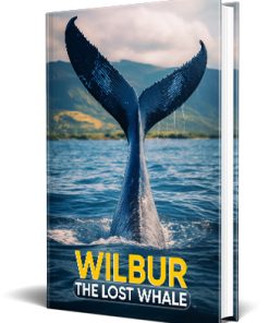 Wilbur the Lost Whale PLR Childrens Ebook