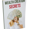 Wealth Creation Secrets PLR Report