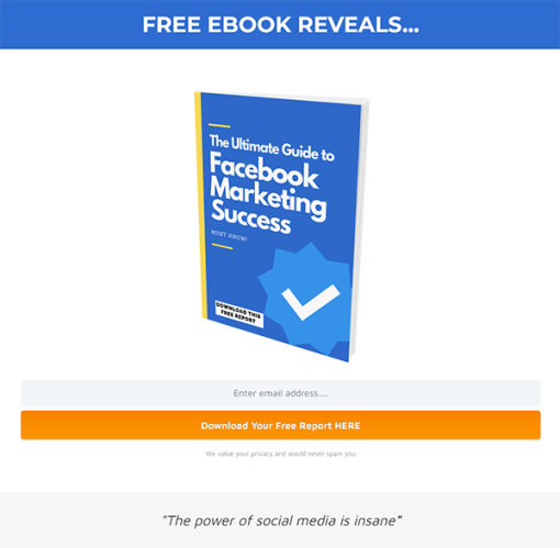 Facebook Marketing Success Report MRR Squeeze Page