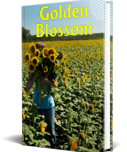 Golden Blossom PLR Children's Ebook