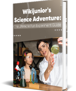 Wikijunior's Science Adventure PLR Report